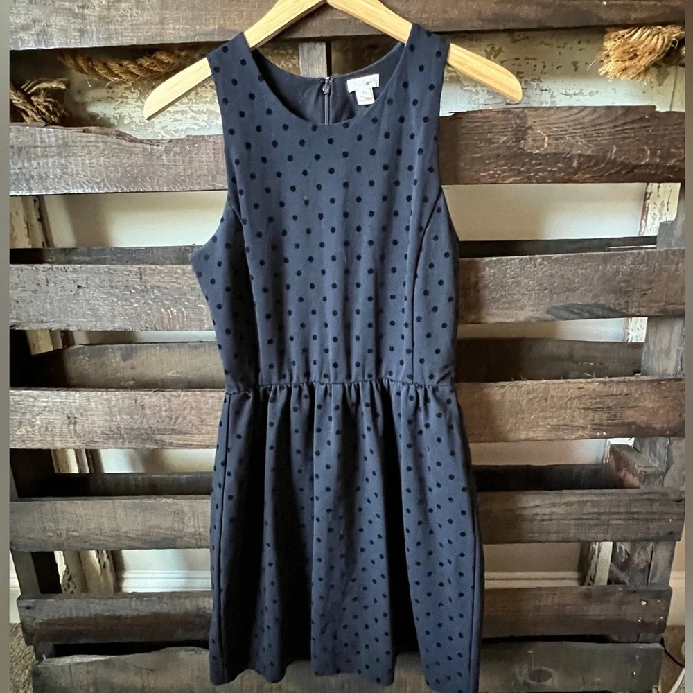 J. Crew back zip